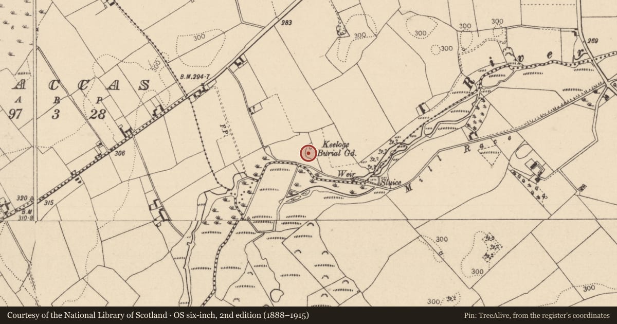 Ordnance Survey six-inch map, 2nd edition (1888–1915) covering the location of Graveyard, Ballyboodin, County Laois, with a pin at the register's coordinates