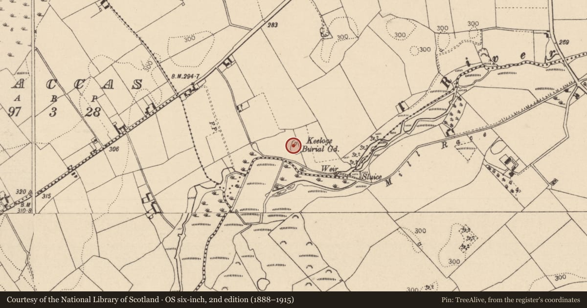 Ordnance Survey six-inch map, 2nd edition (1888–1915) covering the location of Font, Ballyboodin, County Laois, with a pin at the register's coordinates