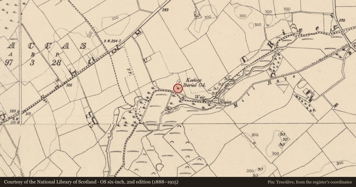 Ordnance Survey six-inch map, 2nd edition (1888–1915) covering the location of Ecclesiastical enclosure, Ballyboodin, County Laois, with a pin at the register's coordinates