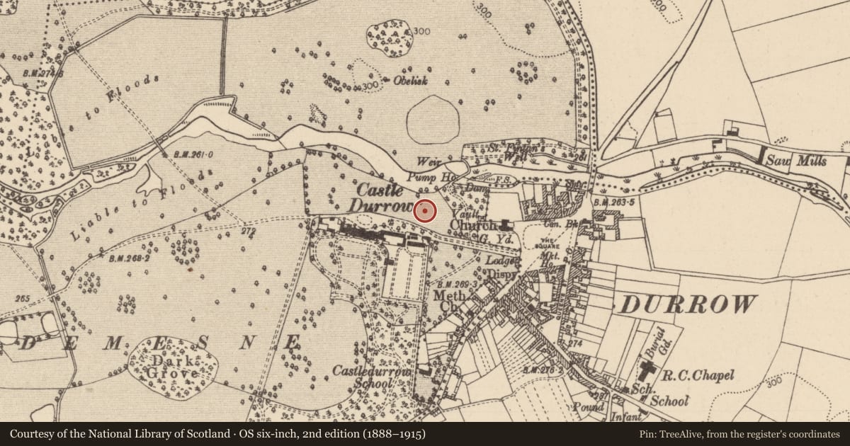 Ordnance Survey six-inch map, 2nd edition (1888–1915) covering the location of Ecclesiastical site, Castledurrow Demesne, Durrow Townparks, County Laois, with a pin at the register's coordinates