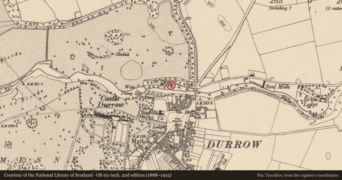 Ordnance Survey six-inch map, 2nd edition (1888–1915) covering the location of Ritual site - holy well, Castledurrow Demesne, County Laois, with a pin at the register's coordinates