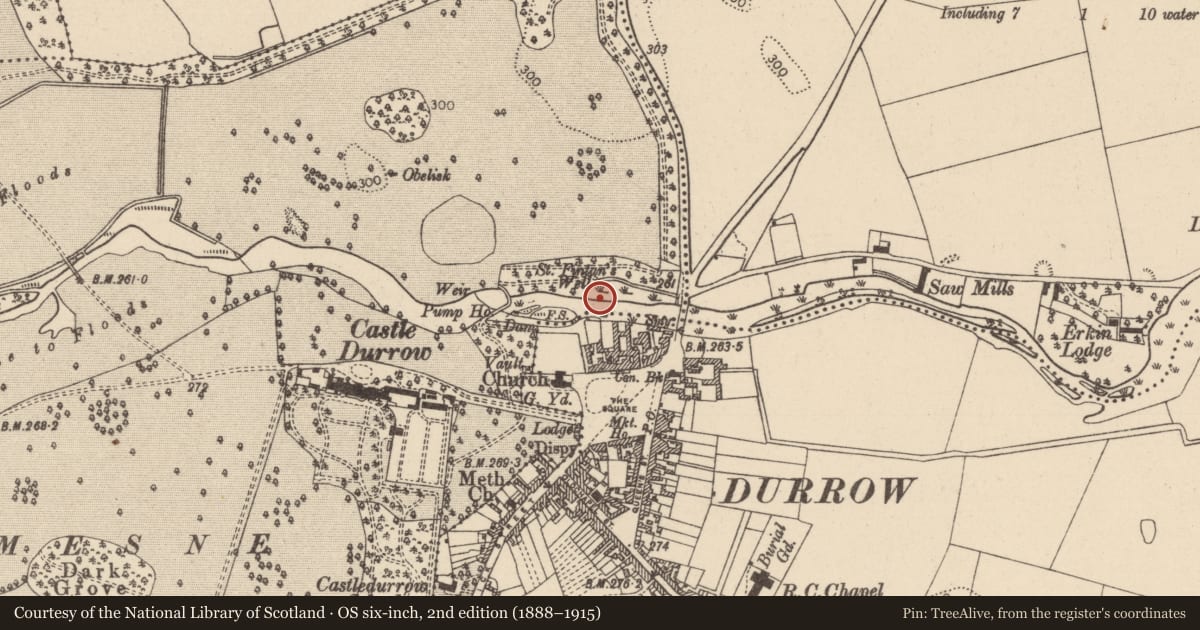 Ordnance Survey six-inch map, 2nd edition (1888–1915) covering the location of Cross, Castledurrow Demesne, County Laois, with a pin at the register's coordinates