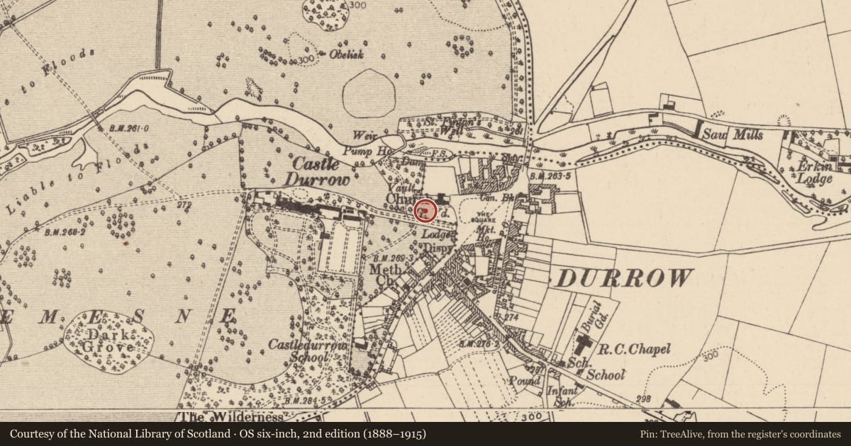 Ordnance Survey six-inch map, 2nd edition (1888–1915) covering the location of Graveyard, Durrow Townparks, County Laois, with a pin at the register's coordinates