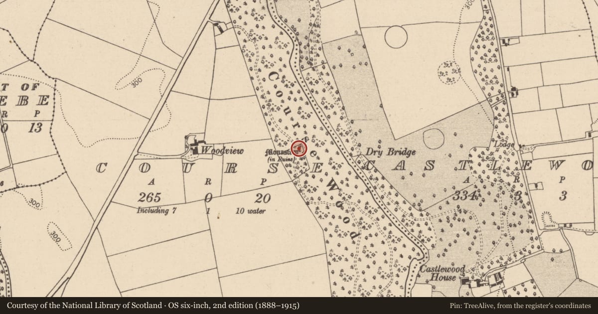 Ordnance Survey six-inch map, 2nd edition (1888–1915) covering the location of Ecclesiastical site, Course, County Laois, with a pin at the register's coordinates