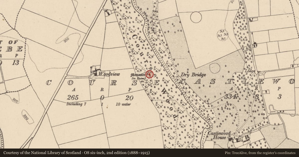Ordnance Survey six-inch map, 2nd edition (1888–1915) covering the location of Ecclesiastical enclosure, Course, County Laois, with a pin at the register's coordinates