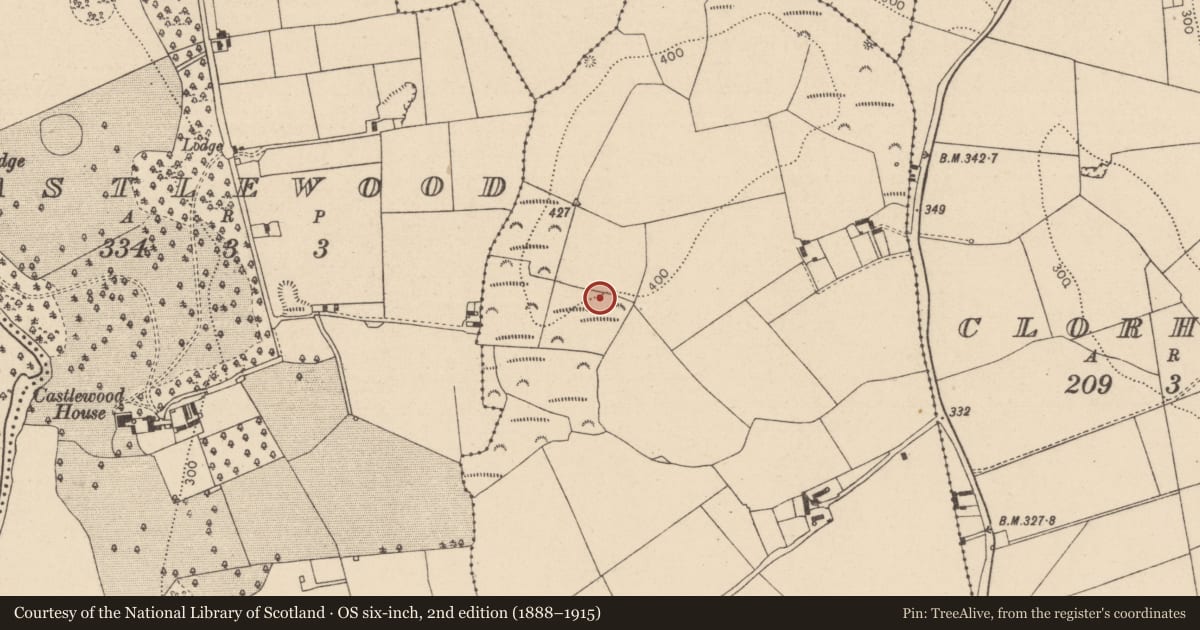 Ordnance Survey six-inch map, 2nd edition (1888–1915) covering the location of Enclosure, Grenan, County Laois, with a pin at the register's coordinates