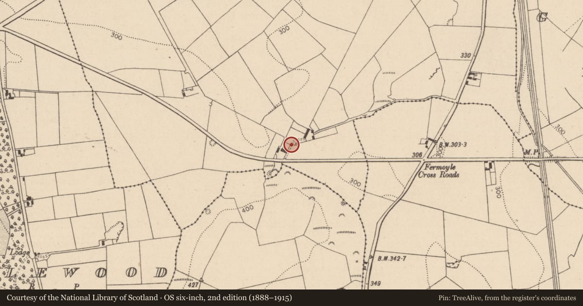 Ordnance Survey six-inch map, 2nd edition (1888–1915) covering the location of Bawn, Fermoyle, County Laois, with a pin at the register's coordinates