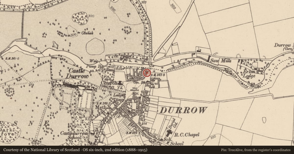 Ordnance Survey six-inch map, 2nd edition (1888–1915) covering the location of Stone head, Durrow Townparks, County Laois, with a pin at the register's coordinates
