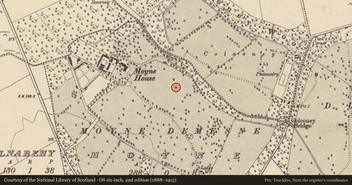 Ordnance Survey six-inch map, 2nd edition (1888–1915) covering the location of Bullaun stone, Moyne, County Laois, with a pin at the register's coordinates