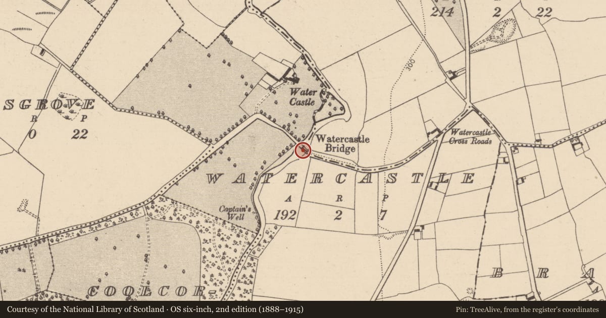 Ordnance Survey six-inch map, 2nd edition (1888–1915) covering the location of Bridge, Granafallow, Watercastle, County Laois, with a pin at the register's coordinates