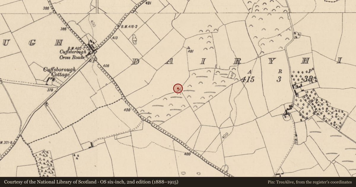 Ordnance Survey six-inch map, 2nd edition (1888–1915) covering the location of Ring-ditch, Dairyhill, County Laois, with a pin at the register's coordinates