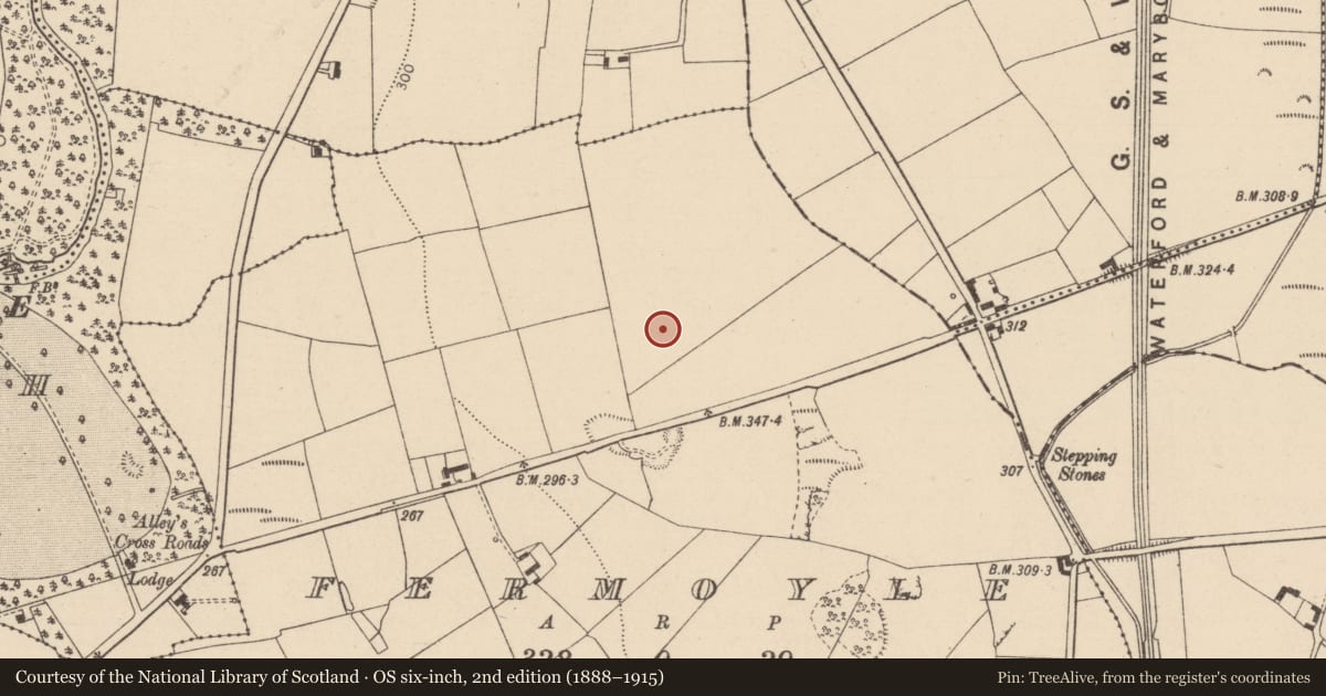 Ordnance Survey six-inch map, 2nd edition (1888–1915) covering the location of Enclosure, Fermoyle, County Laois, with a pin at the register's coordinates