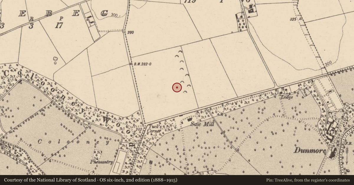 Ordnance Survey six-inch map, 2nd edition (1888–1915) covering the location of Field system, Dunmore, County Laois, with a pin at the register's coordinates