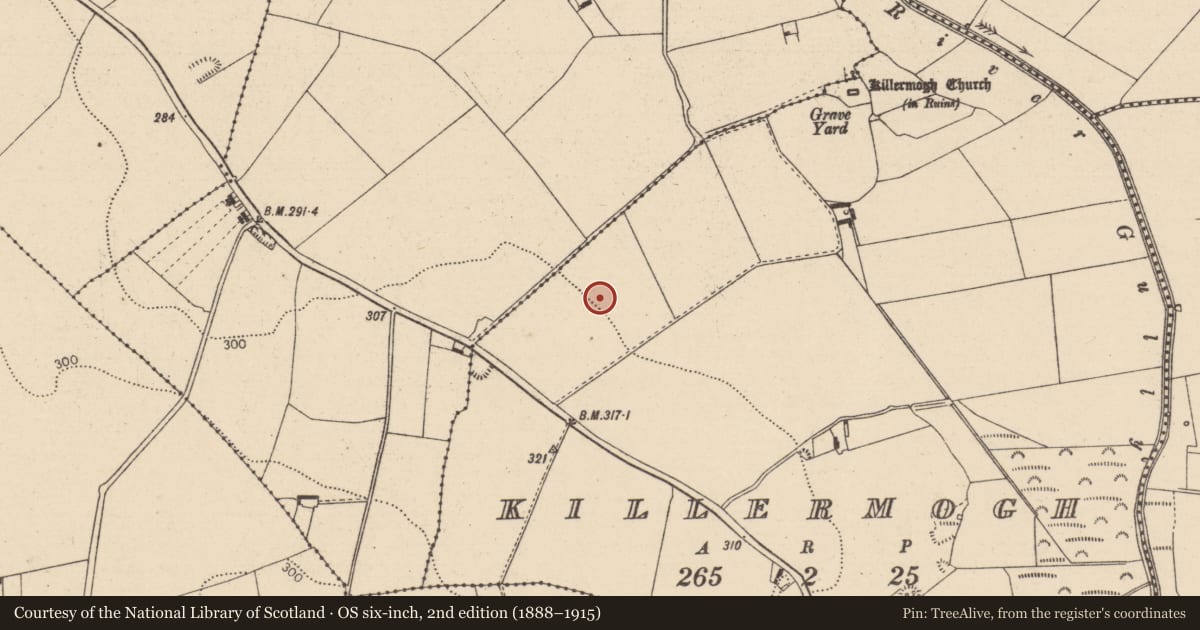 Ordnance Survey six-inch map, 2nd edition (1888–1915) covering the location of Ring-ditch, Killermogh, County Laois, with a pin at the register's coordinates