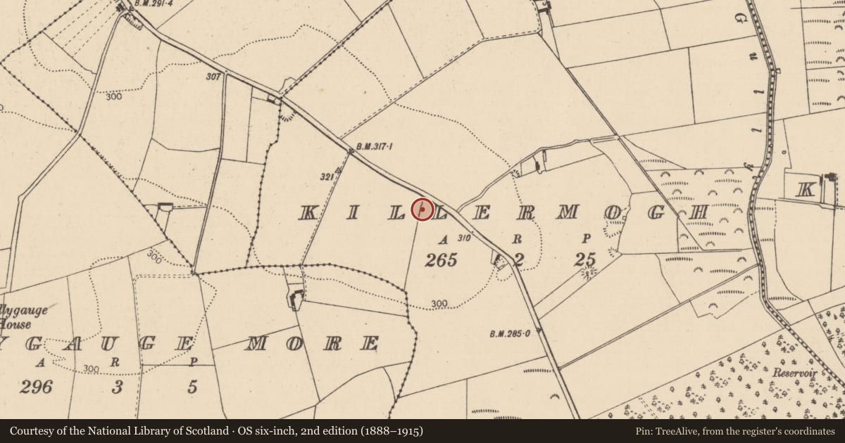 Ordnance Survey six-inch map, 2nd edition (1888–1915) covering the location of Ring-ditch, Killermogh, County Laois, with a pin at the register's coordinates