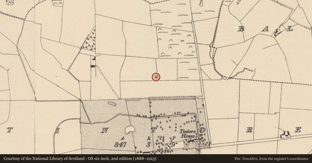 Ordnance Survey six-inch map, 2nd edition (1888–1915) covering the location of Ring-ditch, Tintore, County Laois, with a pin at the register's coordinates