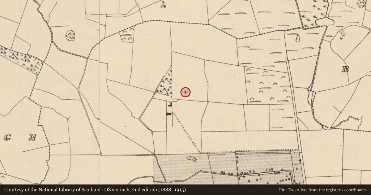 Ordnance Survey six-inch map, 2nd edition (1888–1915) covering the location of Enclosure, Tintore, County Laois, with a pin at the register's coordinates