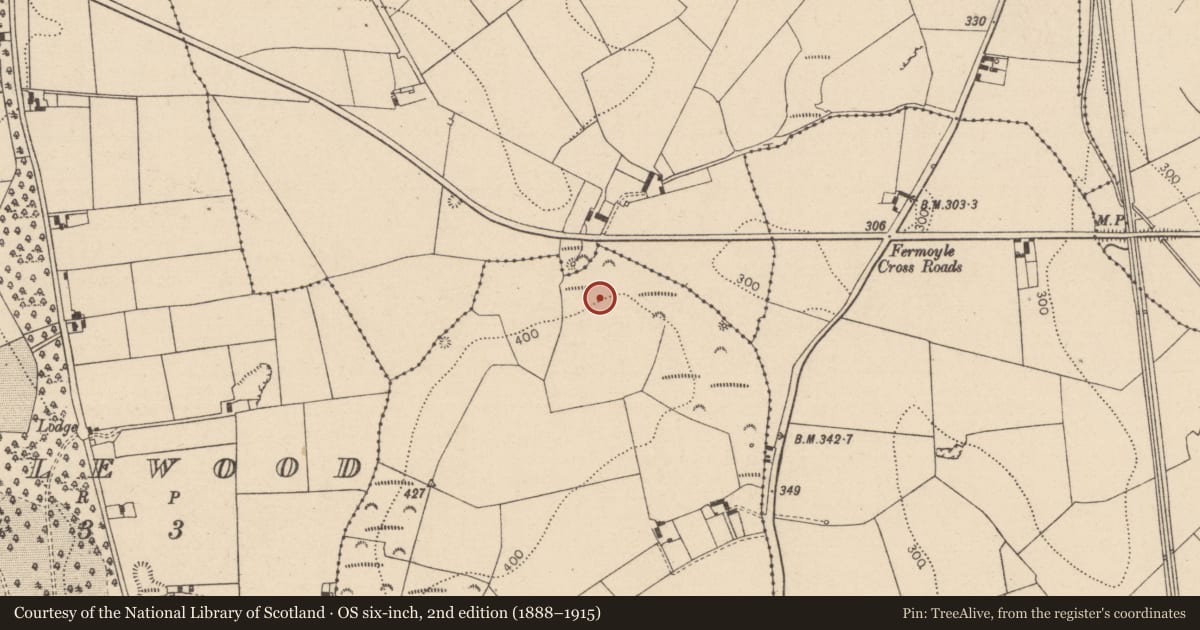 Ordnance Survey six-inch map, 2nd edition (1888–1915) covering the location of Mound, Grenan, County Laois, with a pin at the register's coordinates