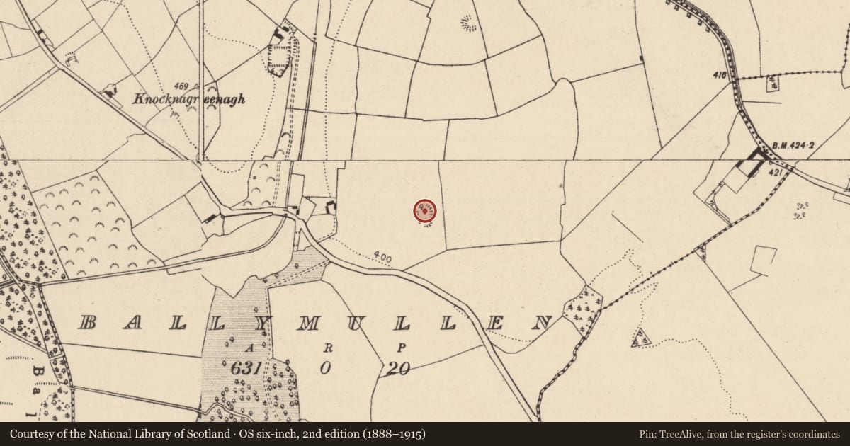 Ordnance Survey six-inch map, 2nd edition (1888–1915) covering the location of Enclosure, Ballymullen, County Laois, with a pin at the register's coordinates