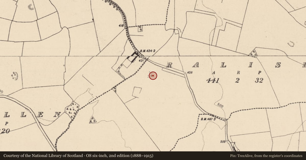 Ordnance Survey six-inch map, 2nd edition (1888–1915) covering the location of Ringfort - rath, Ralish, County Laois, with a pin at the register's coordinates
