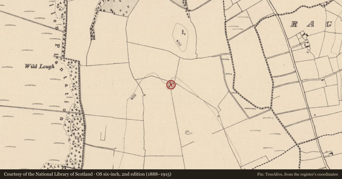Ordnance Survey six-inch map, 2nd edition (1888–1915) covering the location of Ringfort - rath, Ballymullen, County Laois, with a pin at the register's coordinates