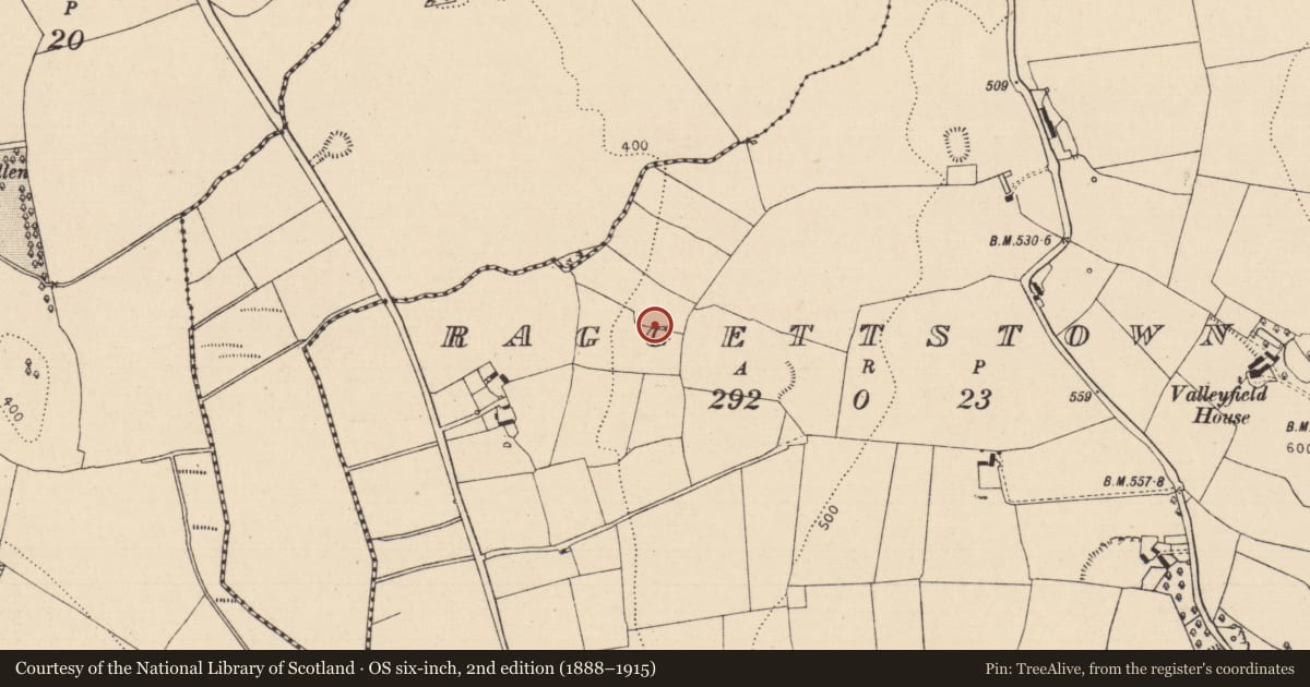 Ordnance Survey six-inch map, 2nd edition (1888–1915) covering the location of Enclosure, Raggettstown, County Laois, with a pin at the register's coordinates
