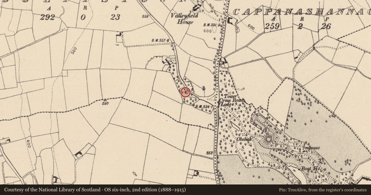 Ordnance Survey six-inch map, 2nd edition (1888–1915) covering the location of Quarry, Raggettstown, County Laois, with a pin at the register's coordinates