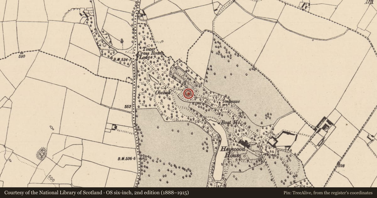 Ordnance Survey six-inch map, 2nd edition (1888–1915) covering the location of Castle - motte, Haywood Demesne, County Laois, with a pin at the register's coordinates