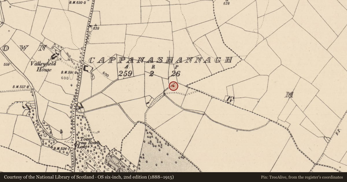 Ordnance Survey six-inch map, 2nd edition (1888–1915) covering the location of Moated site, Cappanashannagh, County Laois, with a pin at the register's coordinates