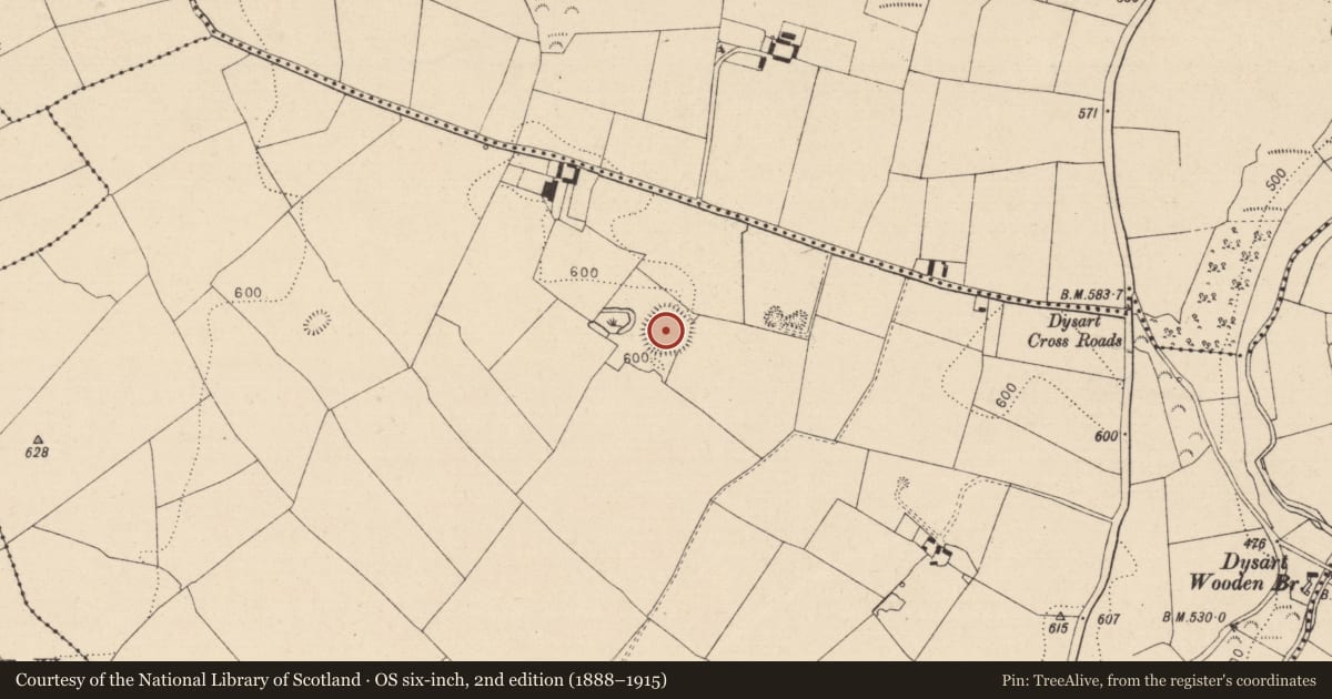 Ordnance Survey six-inch map, 2nd edition (1888–1915) covering the location of Ringfort - rath, Moat, County Laois, with a pin at the register's coordinates