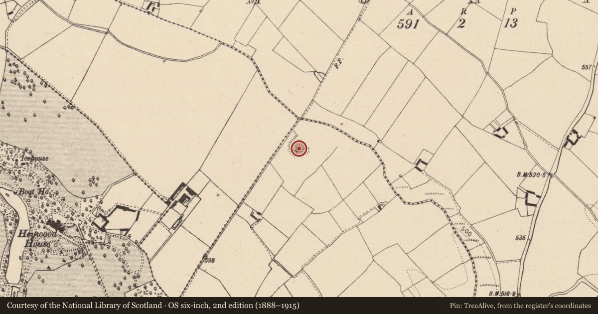 Ordnance Survey six-inch map, 2nd edition (1888–1915) covering the location of Kiln - lime, Kilnashane, County Laois, with a pin at the register's coordinates