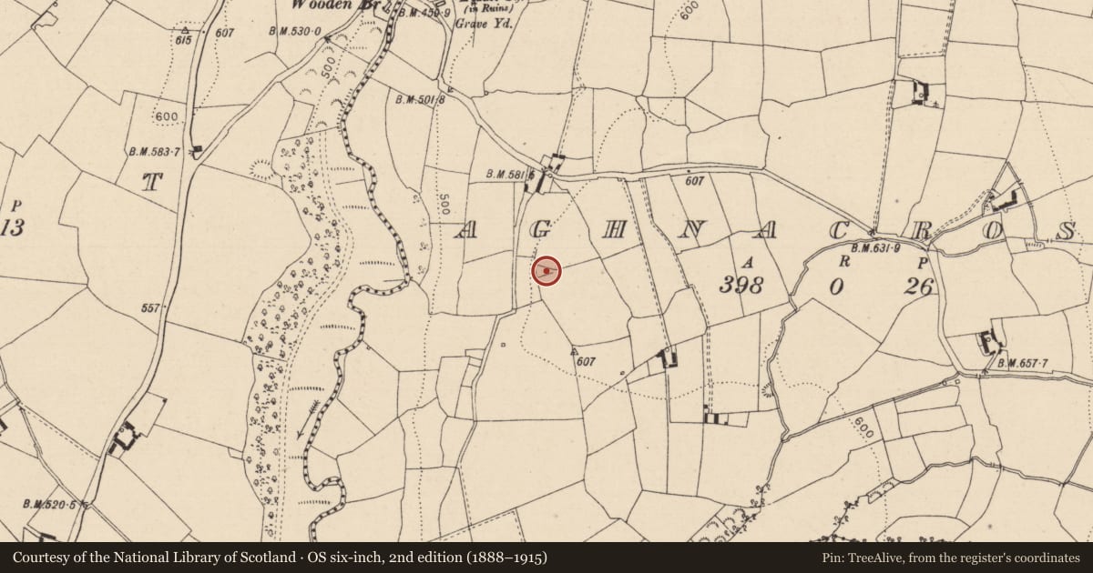 Ordnance Survey six-inch map, 2nd edition (1888–1915) covering the location of Moated site, Aghnacross, County Laois, with a pin at the register's coordinates