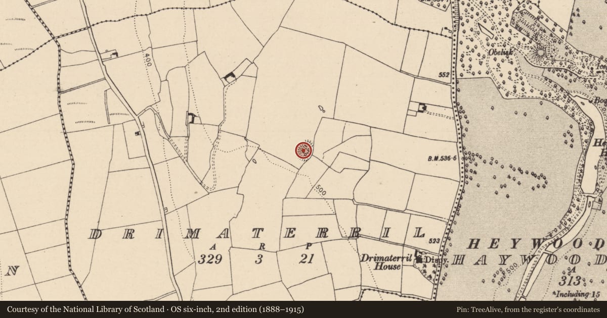 Ordnance Survey six-inch map, 2nd edition (1888–1915) covering the location of Ringfort - rath, Drimaterril, County Laois, with a pin at the register's coordinates