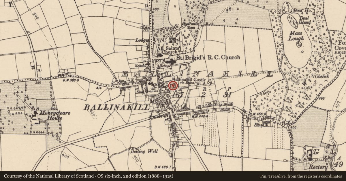 Ordnance Survey six-inch map, 2nd edition (1888–1915) covering the location of Castle - tower house, Ballinakill, County Laois, with a pin at the register's coordinates