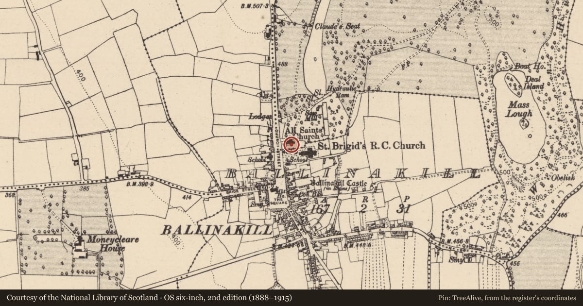Ordnance Survey six-inch map, 2nd edition (1888–1915) covering the location of Church, Haywood Demesne, County Laois, with a pin at the register's coordinates