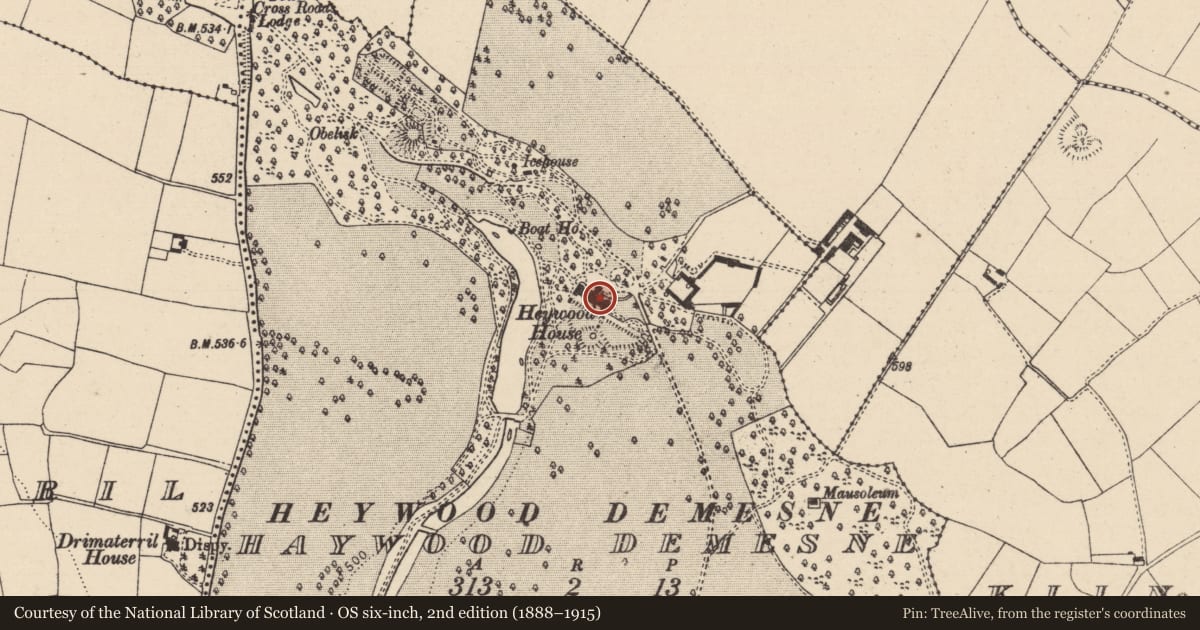 Ordnance Survey six-inch map, 2nd edition (1888–1915) covering the location of Architectural fragment, Haywood Demesne, County Laois, with a pin at the register's coordinates
