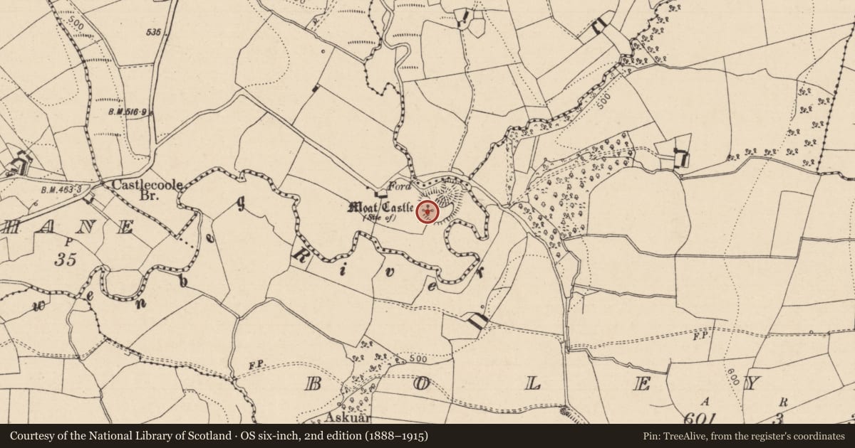 Ordnance Survey six-inch map, 2nd edition (1888–1915) covering the location of Castle - unclassified, Moat, County Laois, with a pin at the register's coordinates