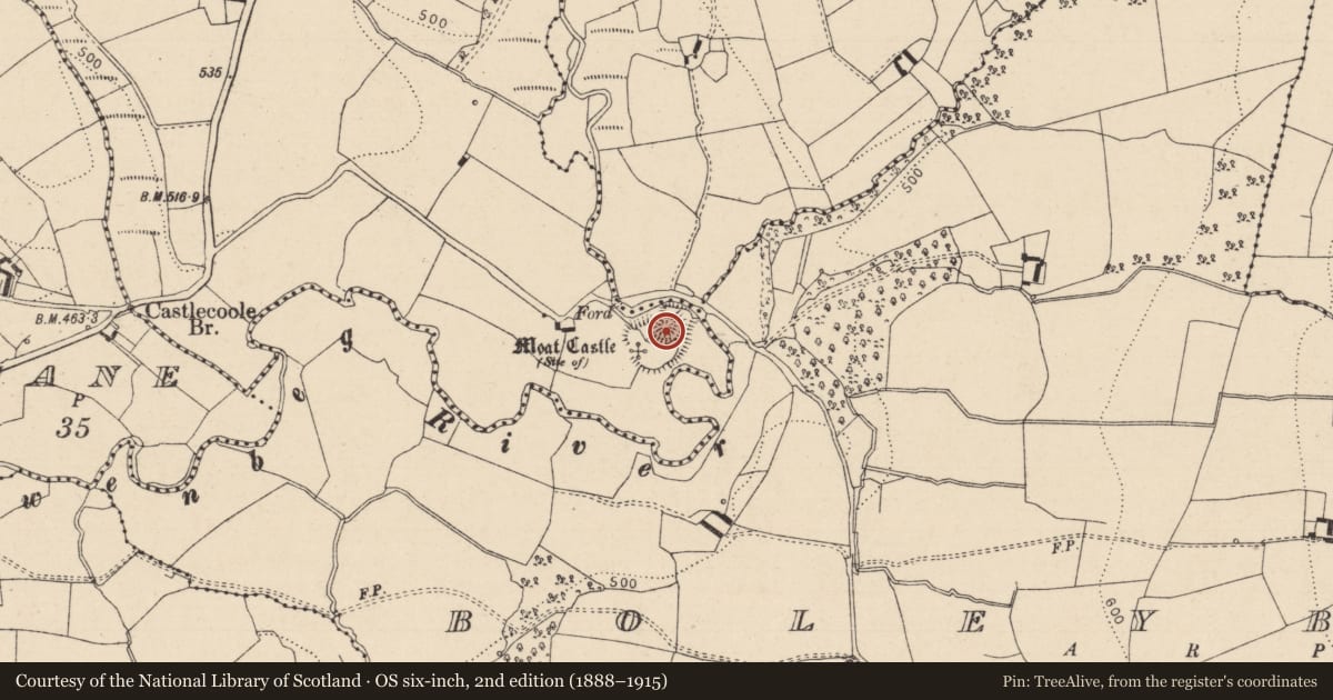 Ordnance Survey six-inch map, 2nd edition (1888–1915) covering the location of Castle - motte and bailey, Moat, County Laois, with a pin at the register's coordinates