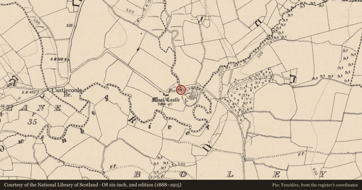 Ordnance Survey six-inch map, 2nd edition (1888–1915) covering the location of Ford, Moat, County Laois, with a pin at the register's coordinates