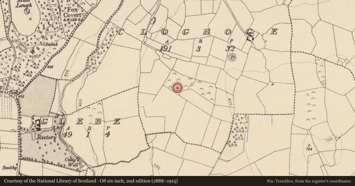 Ordnance Survey six-inch map, 2nd edition (1888–1915) covering the location of Enclosure, Cloghoge, County Laois, with a pin at the register's coordinates