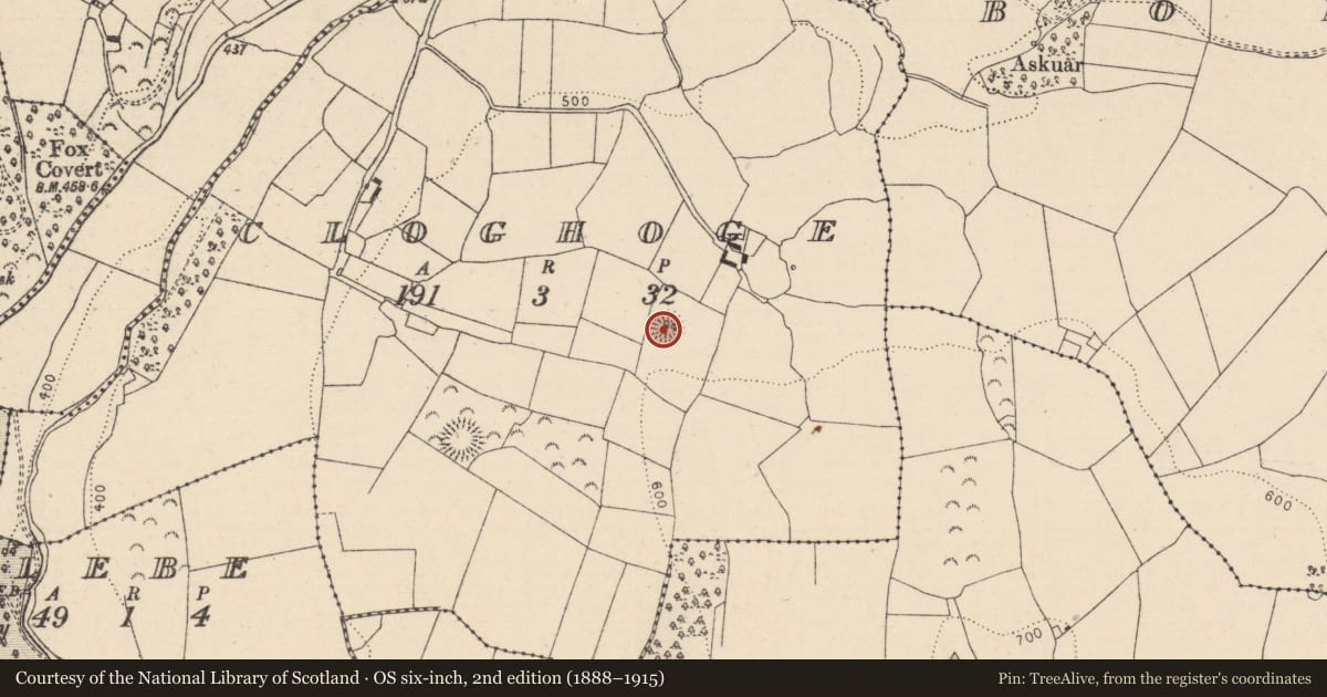 Ordnance Survey six-inch map, 2nd edition (1888–1915) covering the location of Ringfort - rath, Cloghoge, County Laois, with a pin at the register's coordinates