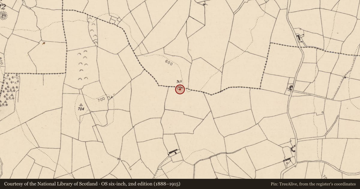 Ordnance Survey six-inch map, 2nd edition (1888–1915) covering the location of Enclosure, Boleybawn, Ironmills Or Kilrush, County Laois, with a pin at the register's coordinates