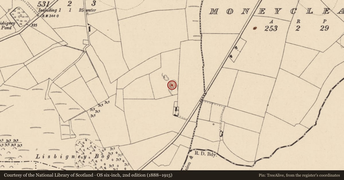 Ordnance Survey six-inch map, 2nd edition (1888–1915) covering the location of Enclosure, Lisbigney, County Laois, with a pin at the register's coordinates