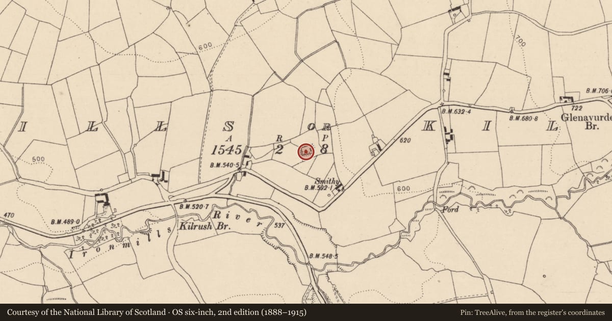 Ordnance Survey six-inch map, 2nd edition (1888–1915) covering the location of Moated site, Ironmills Or Kilrush, County Laois, with a pin at the register's coordinates