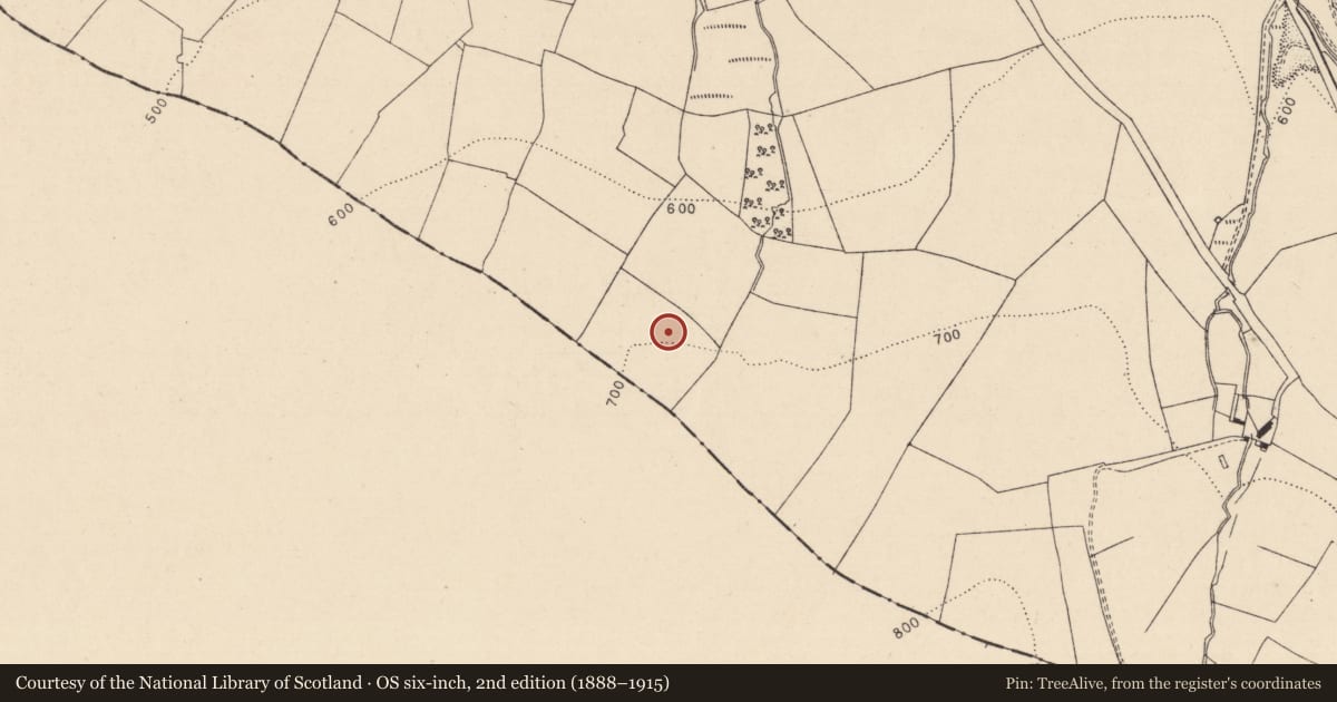 Ordnance Survey six-inch map, 2nd edition (1888–1915) covering the location of Moated site, Ironmills Or Kilrush, County Laois, with a pin at the register's coordinates