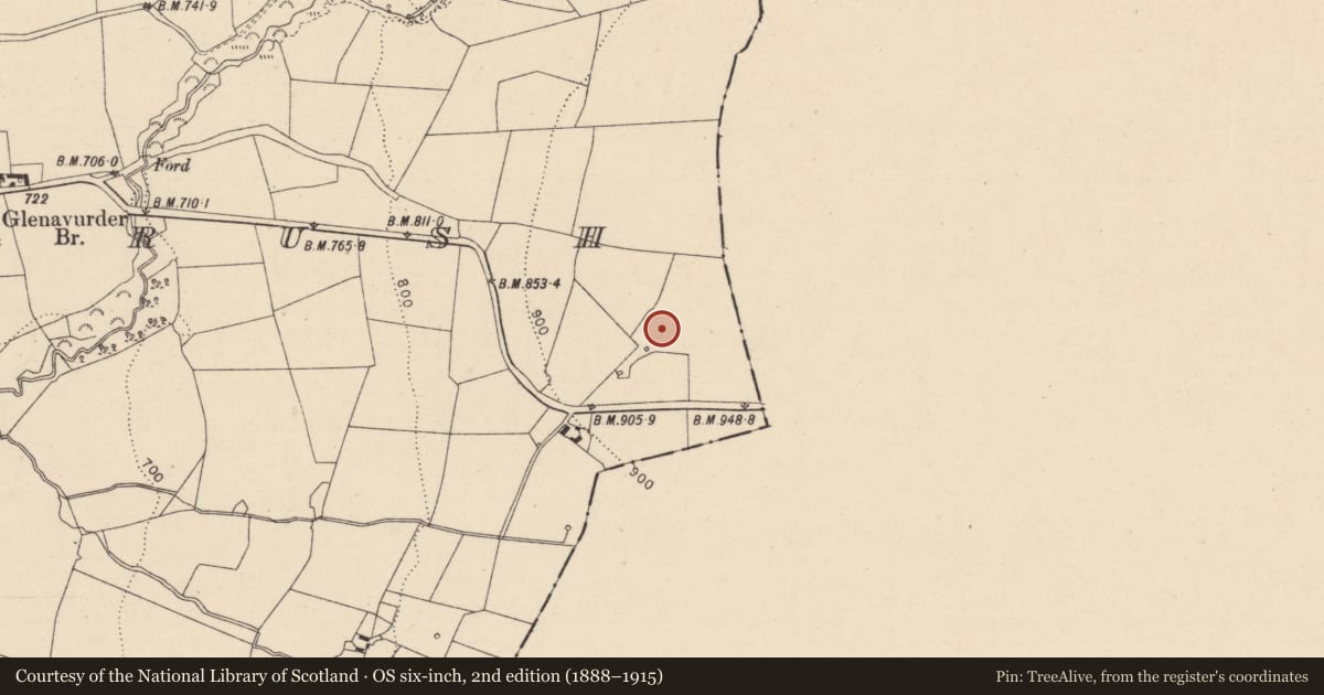 Ordnance Survey six-inch map, 2nd edition (1888–1915) covering the location of Cist, Ironmills Or Kilrush, County Laois, with a pin at the register's coordinates