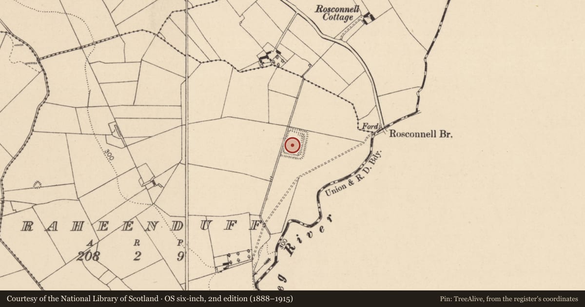 Ordnance Survey six-inch map, 2nd edition (1888–1915) covering the location of Moated site, Raheenduff, County Laois, with a pin at the register's coordinates