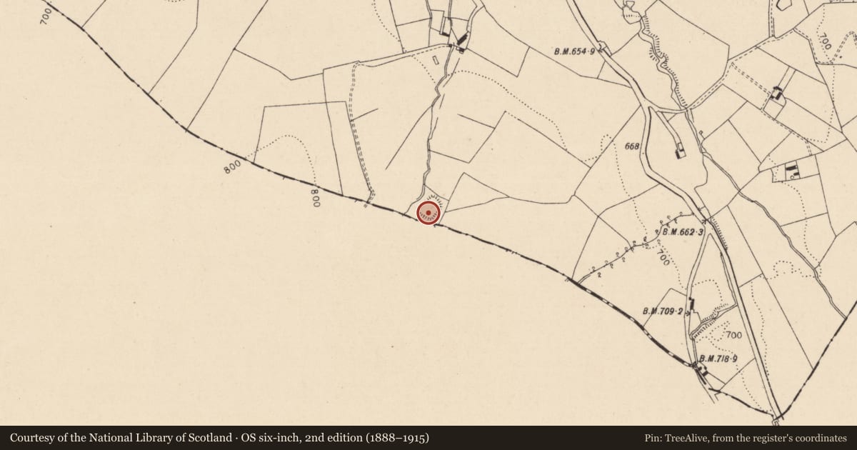 Ordnance Survey six-inch map, 2nd edition (1888–1915) covering the location of Enclosure, Ironmills Or Kilrush, County Laois, with a pin at the register's coordinates