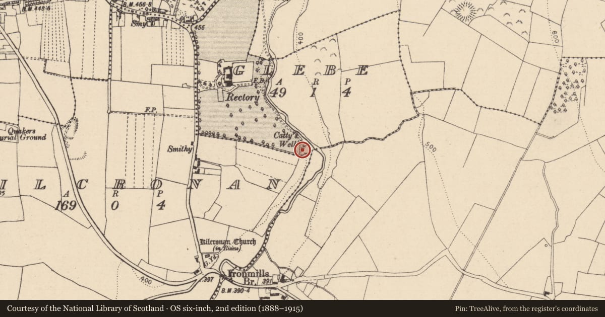 Ordnance Survey six-inch map, 2nd edition (1888–1915) covering the location of Well, Glebe, County Laois, with a pin at the register's coordinates