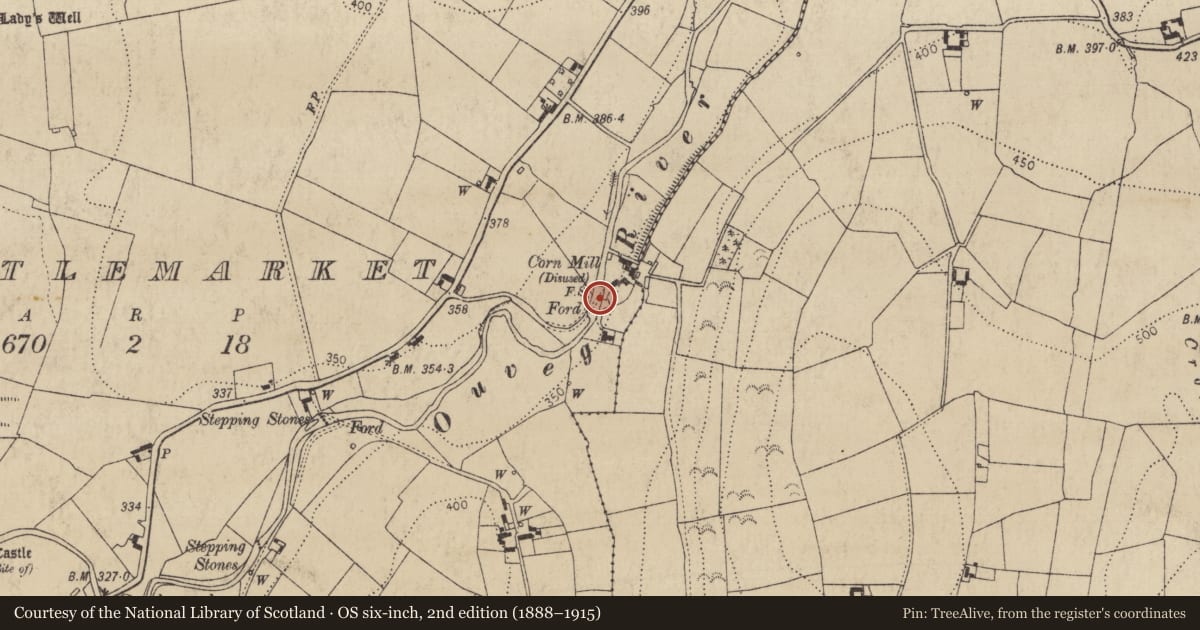 Ordnance Survey six-inch map, 2nd edition (1888–1915) covering the location of Mill - unclassified, County Laois, with a pin at the register's coordinates